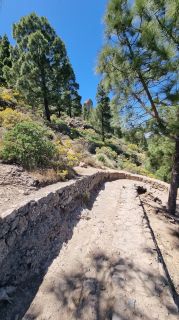 2023-04-GranCan-Roque_Nublo-040.jpg